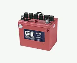 Bateria g25